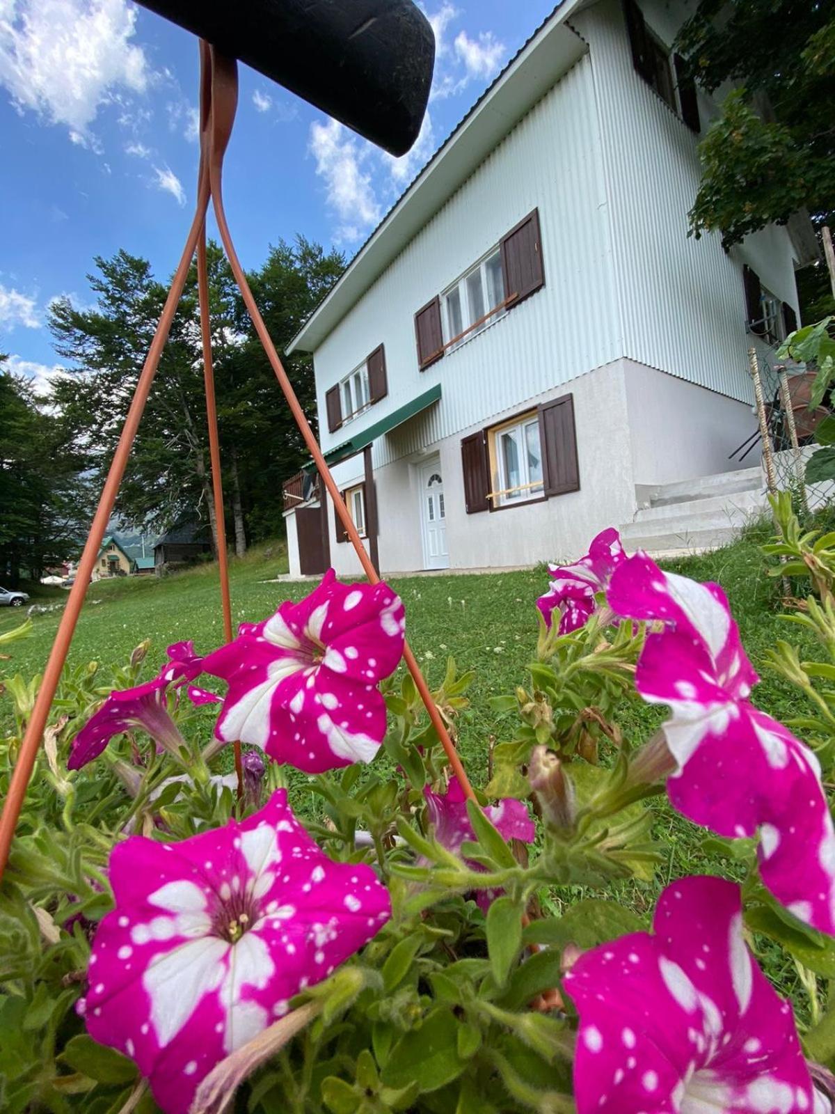 Apartments Marta Zabljak  Exterior photo